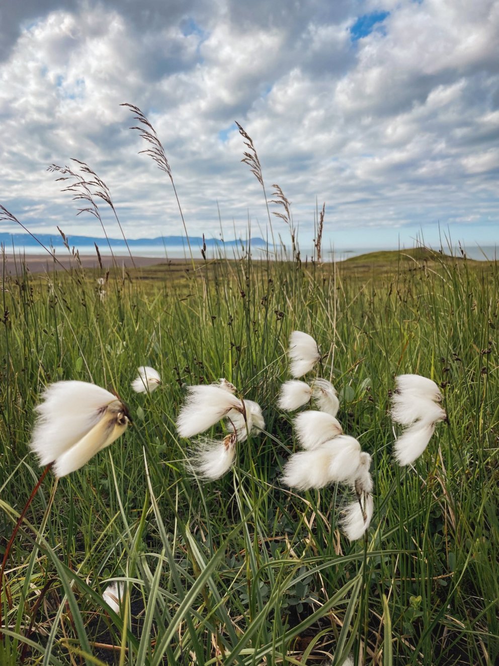 Mynd: Lilja Sigríður Jónsdóttir
