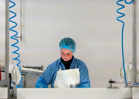 Zdjęcie: Jessica Auer