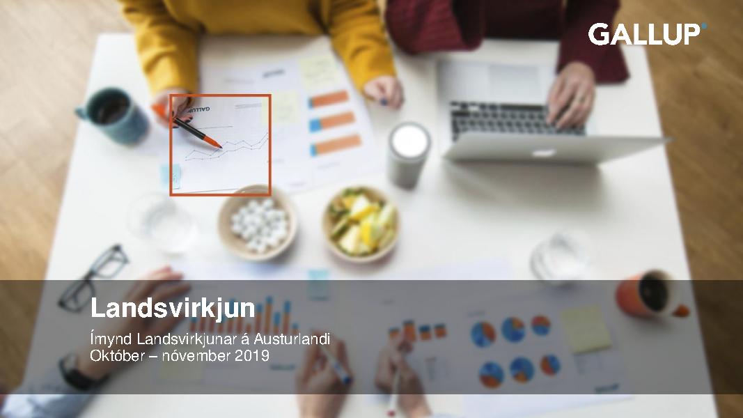 Landsvirkjun - Ímynd Landsvirkjunar á Austurlandi